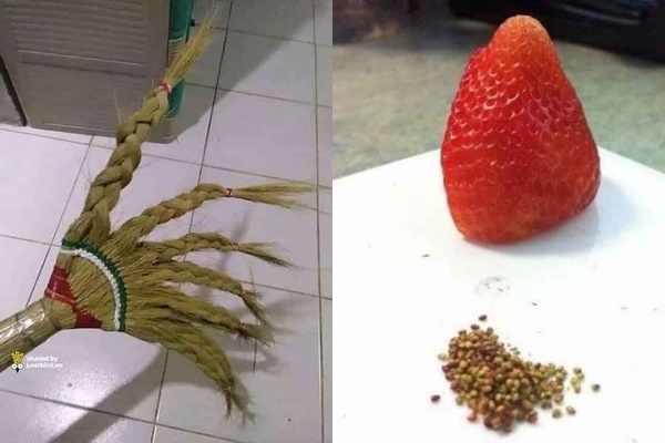 Muốn giữ chân con trai nghịch ngợm ở nhà tránh Covid-19, ông bố nghĩ ra chiêu có 1-0-2 khiến cậu bé méo mặt-5