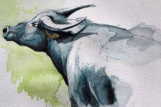 Top 3 con giáp cưng chiều vợ hết mực, được coi là nam thần, luôn trân trọng nghĩa vợ chồng