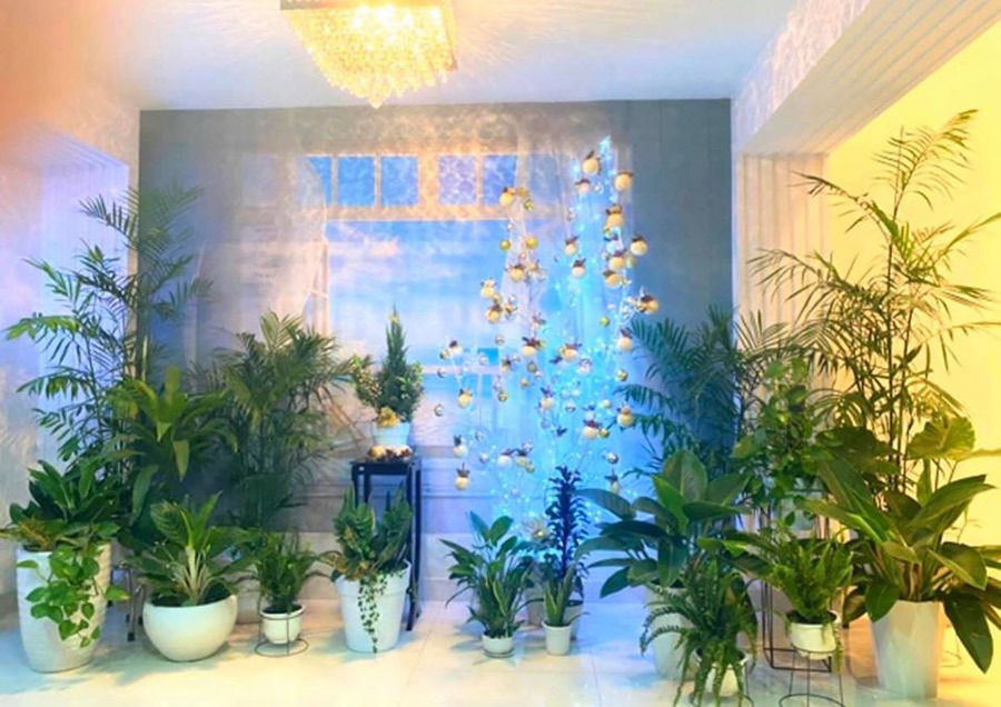 Bên trong biệt thự 21 tỷ sang trọng của MC Quyền Linh-6