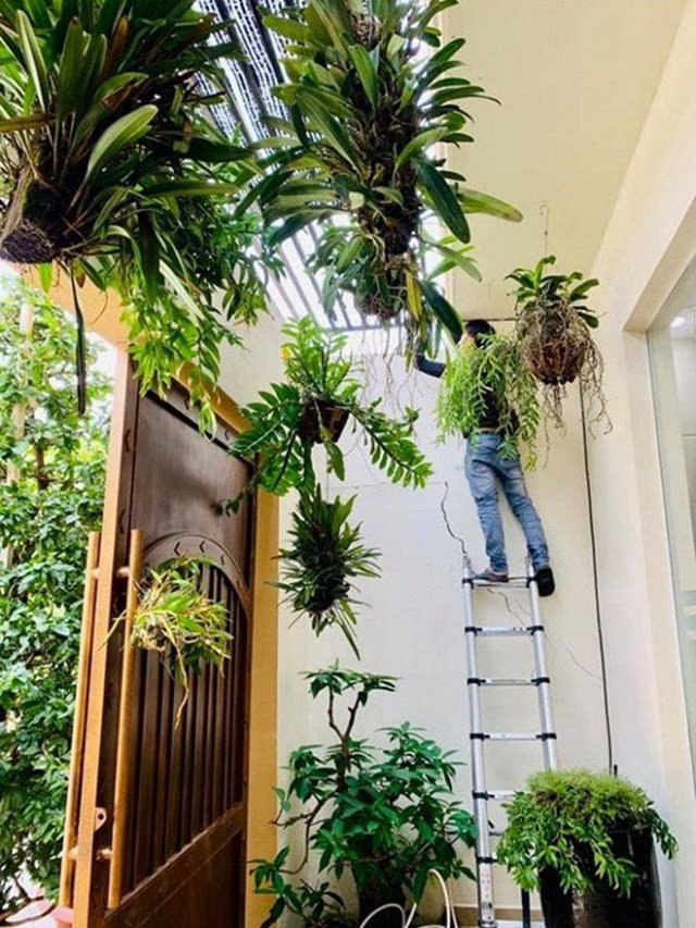 2 năm tậu 3 căn nhà thành phố, Hải Băng - Thành Đạt về quê mua thêm vườn cho con-8