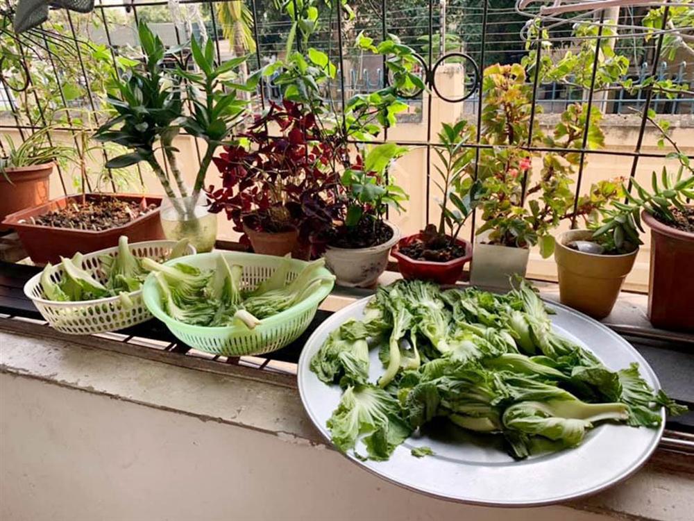 Ở nhà mùa dịch: Vợ bất ngờ với bí mật chồng chưa bao giờ thể hiện-2