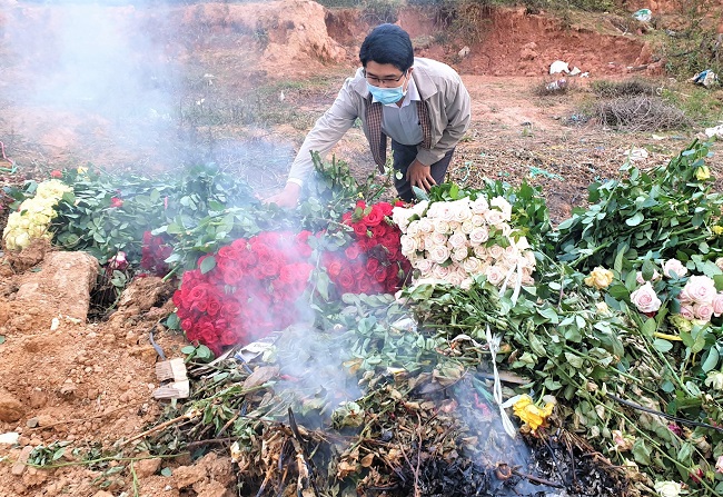 Xót xa nông dân cắt hoa đem đi đốt-1