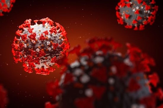 Virus corona tiếp tục đột biến, đã có 8 biến thể trên toàn cầu