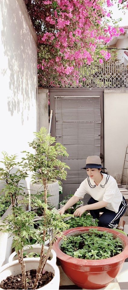 Khu vườn rau sạch trong biệt thự của Hoa hậu Đền Hùng Giáng My-1