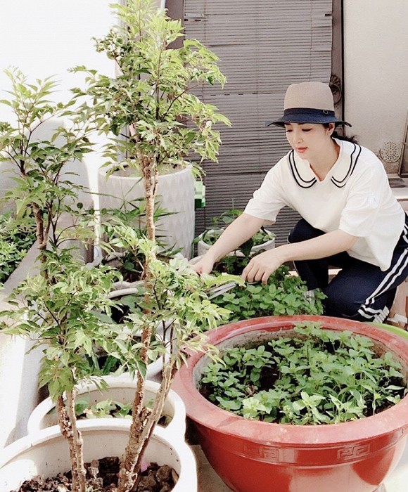 Khu vườn rau sạch trong biệt thự của Hoa hậu Đền Hùng Giáng My-4