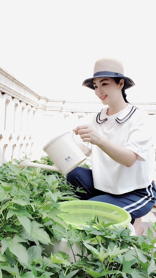 Khu vườn rau sạch trong biệt thự của Hoa hậu Đền Hùng Giáng My-8