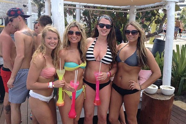 Hong Kong xác định 1 con mèo dương tính với virus SARS-CoV-2-2