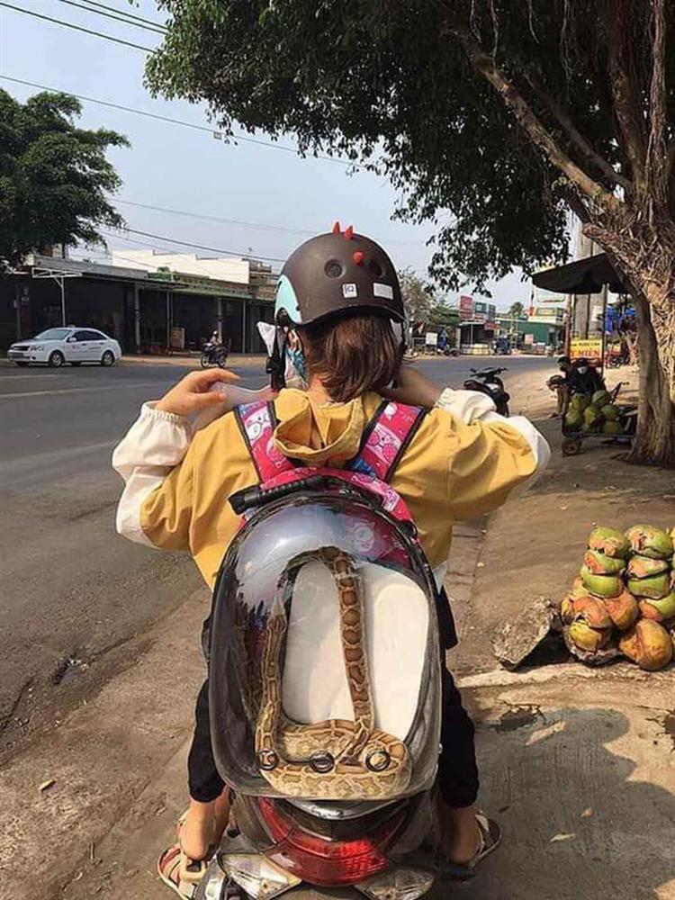 Cô gái hồn nhiên đeo balo hồng đi dạo phố, nào ngờ nhìn kỹ mới thấy hóa ra là bé Na khiến nhiều người không khỏi giật mình-1