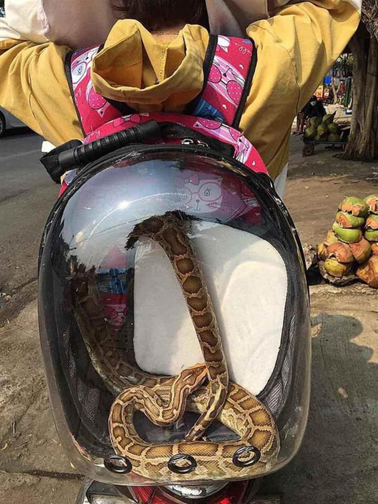 Cô gái hồn nhiên đeo balo hồng đi dạo phố, nào ngờ nhìn kỹ mới thấy hóa ra là bé Na khiến nhiều người không khỏi giật mình-2