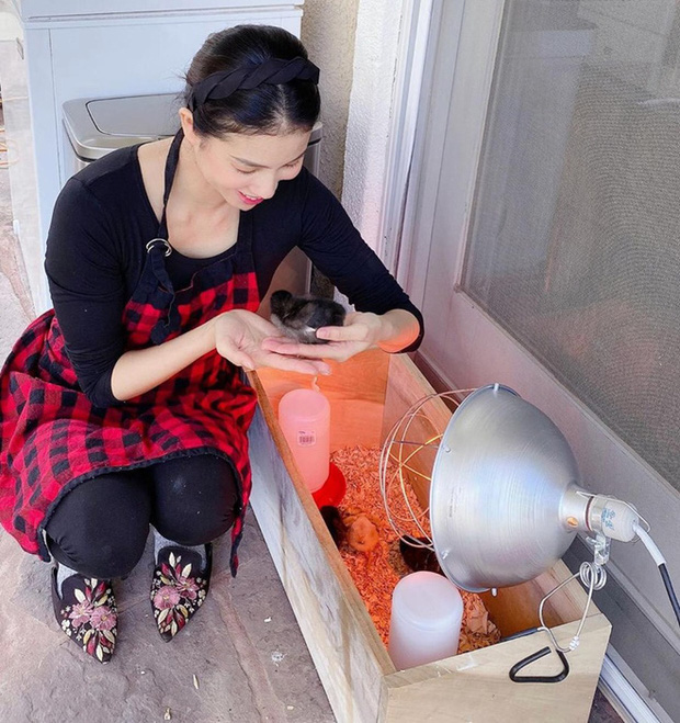 Ở nhà tránh dịch vẫn sống ảo hết mình như Phạm Hương ở Mỹ: Lên đồ sang chảnh, vào gara ô tô catwalk vài vòng như diễn show-1