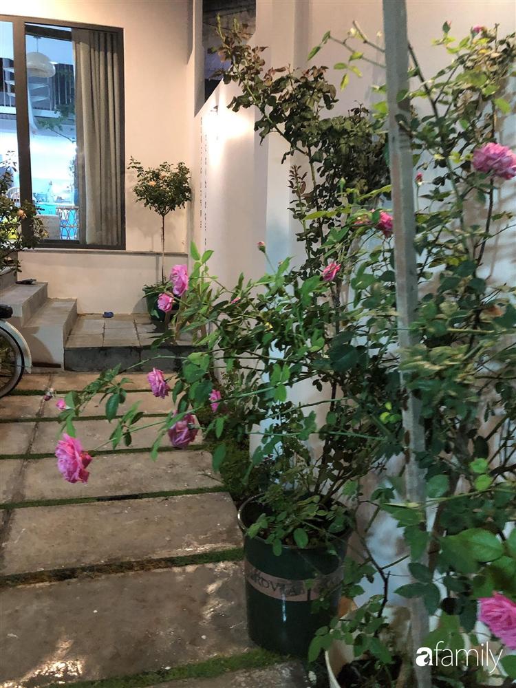 Nhà cấp 4 với diện tích 35m² được cải tạo thành không gian sống hiện đại với ánh sáng ngập tràn ở Vũng Tàu-6