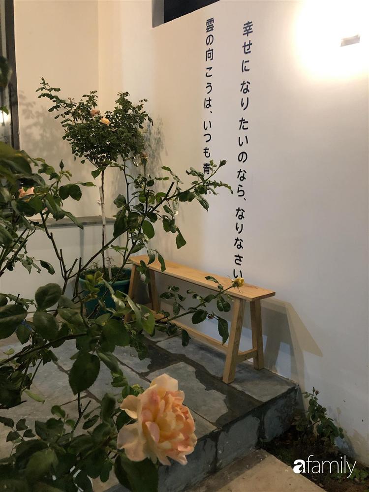 Nhà cấp 4 với diện tích 35m² được cải tạo thành không gian sống hiện đại với ánh sáng ngập tràn ở Vũng Tàu-10