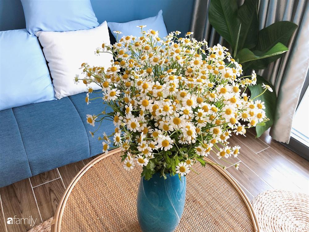 Nhà cấp 4 với diện tích 35m² được cải tạo thành không gian sống hiện đại với ánh sáng ngập tràn ở Vũng Tàu-18