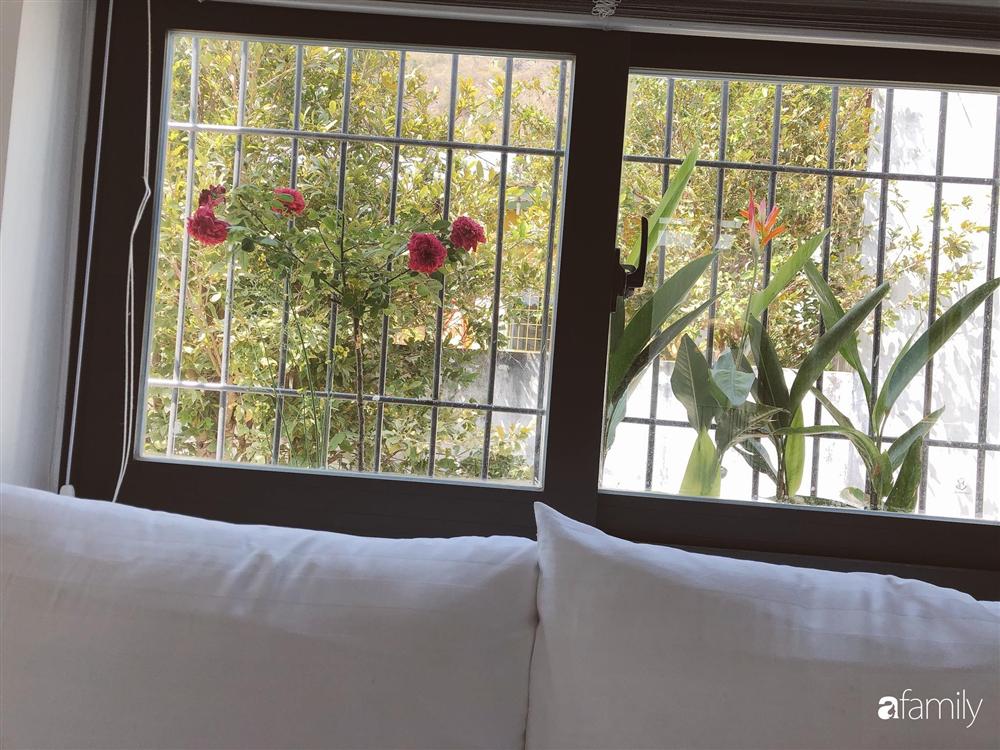 Nhà cấp 4 với diện tích 35m² được cải tạo thành không gian sống hiện đại với ánh sáng ngập tràn ở Vũng Tàu-31