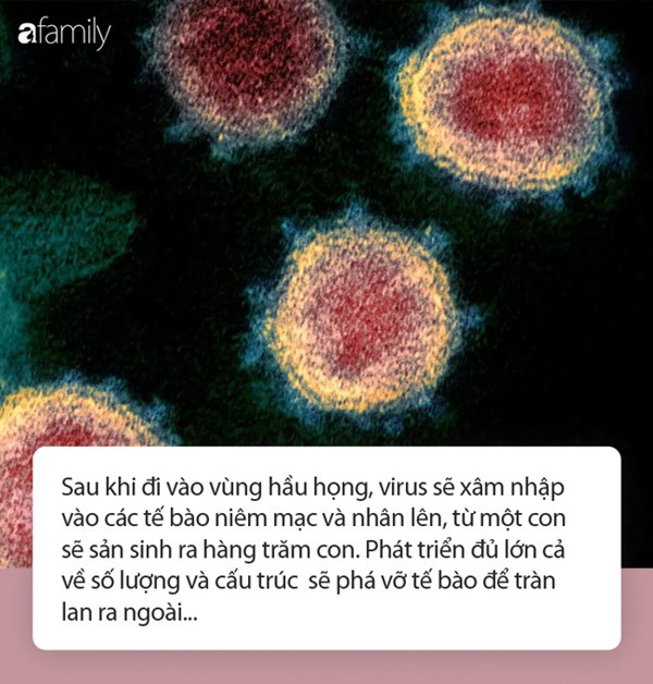 Chuyên gia chỉ ra 7 điều cần biết để tuyệt đối tránh lây nhiễm virus trong thời gian vàng” chống dịch Covid-19-1