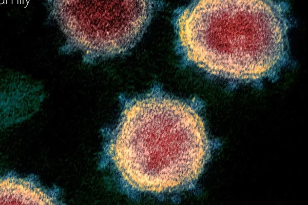 Nói dối để được ở bên cạnh vợ lúc sinh con, người đàn ông khiến các bác sĩ và chính vợ mình có nguy cơ cao nhiễm Covid-19-3