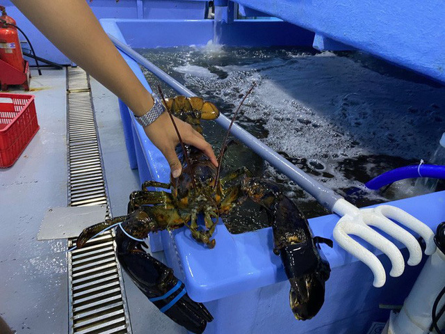 Nhiều loại thuỷ sản: tôm, cua, ốc đồng loạt giảm giá mạnh-2