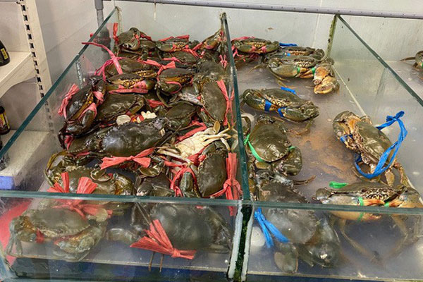 Cua huỳnh đế giảm sốc nửa triệu/kg, cơ hội mua đặc sản nhà giàu giá rẻ-3