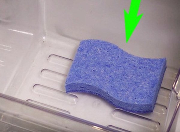 Tiện tay cho miếng bọt biển vào tủ lạnh, biết lý do rồi ai cũng muốn học theo-1