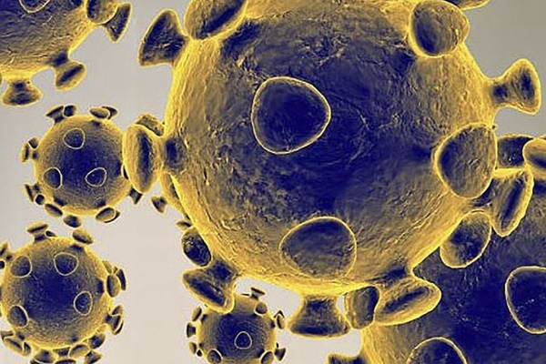 Các nhà khoa học tìm ra chất ức chế gene ngăn virus corona sinh sôi-1