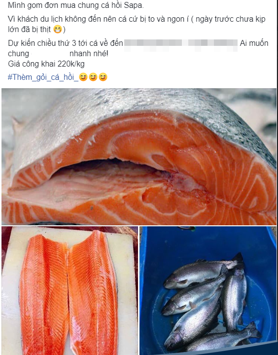 Cá hồi Sapa giá rẻ, chị em ôm số lượng nhiều bán online kiếm cả triệu/ngày-4