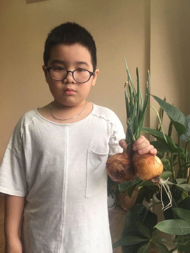 Hội chị em đua nhau để dành đồ ăn rồi nhận kết cục phì cười khi thấy trứng nở vịt con, củ hoá thành cây dài cả mét trong bếp-4