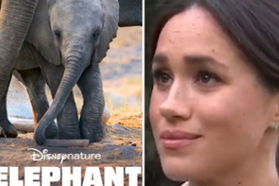 Meghan Markle gây tranh cãi trong dự án phim đầu tiên sau khi rời hoàng gia: Lời khen ngợi thì ít, lời chê từ các nhà phê bình thì nhiều