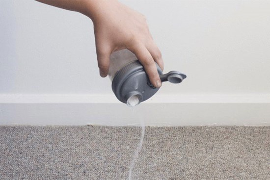 Rắc muối nở lên thảm trải sàn, biết công dụng rồi chị em nào cũng muốn thử