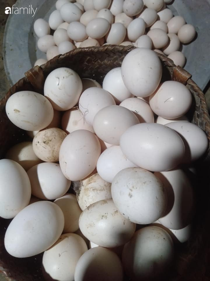 Người bán trứng lâu năm tiết lộ 5 mẹo giúp bà nội trợ Việt chọn chuẩn trứng gà ta, không bao giờ nhầm lẫn với trứng gà công nghiệp-1