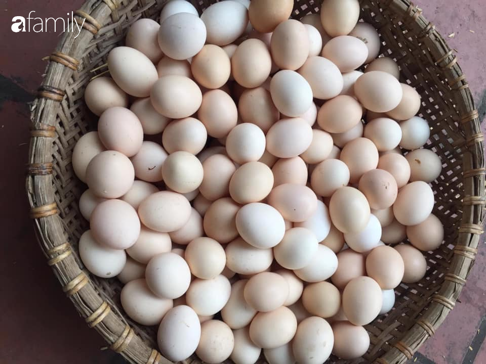 Người bán trứng lâu năm tiết lộ 5 mẹo giúp bà nội trợ Việt chọn chuẩn trứng gà ta, không bao giờ nhầm lẫn với trứng gà công nghiệp-2