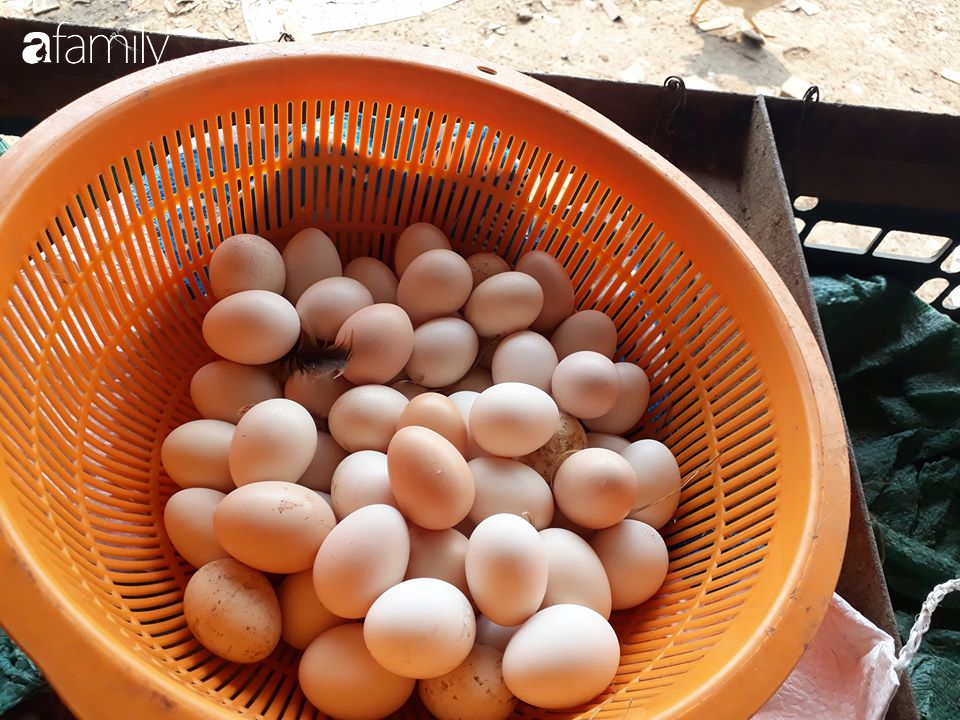 Người bán trứng lâu năm tiết lộ 5 mẹo giúp bà nội trợ Việt chọn chuẩn trứng gà ta, không bao giờ nhầm lẫn với trứng gà công nghiệp-3