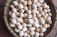 Người bán trứng lâu năm tiết lộ 5 mẹo giúp bà nội trợ Việt chọn chuẩn trứng gà ta, không bao giờ nhầm lẫn với trứng gà công nghiệp
