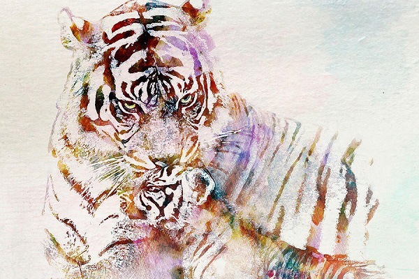 Ai là con giáp nữ đứng đầu bảng xếp hạng mẹ hiền vợ đảm, hết lòng hết dạ vì gia đình, đàn ông lấy được sướng cả một đời-4