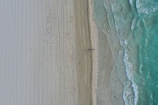 Những hình ảnh đầu tiên khi nước Mỹ bước vào hai tuần lễ đau đớn: 96% dân số ở nhà, hơn 236.000 người nhiễm Covid-19 và 5.700 người tử vong-24