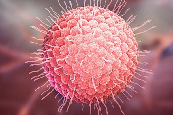 Một bệnh nhân dương tính virus SARS CoV -2 phải dùng máy thở-2