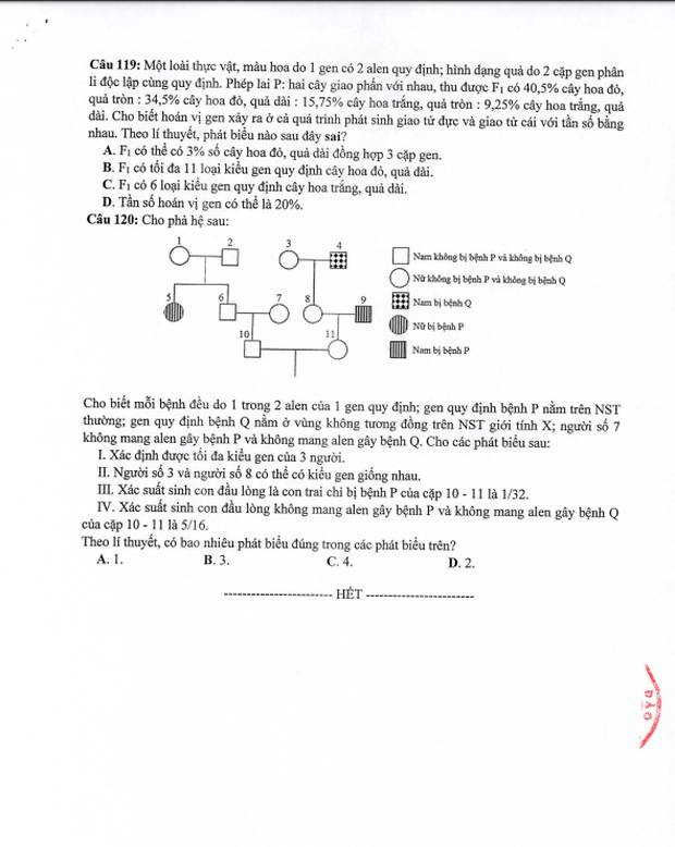 Đề thi minh họa THPT Quốc gia năm 2020 Môn Sinh học-4