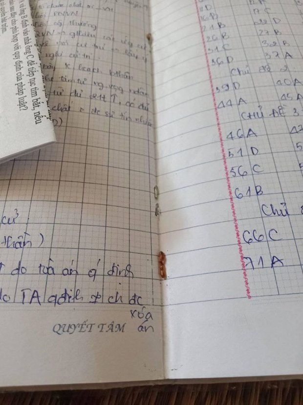 Nghỉ học lâu ngày, học sinh đua nhau khoe hình sách vở mốc meo, bị côn trùng làm tổ-3