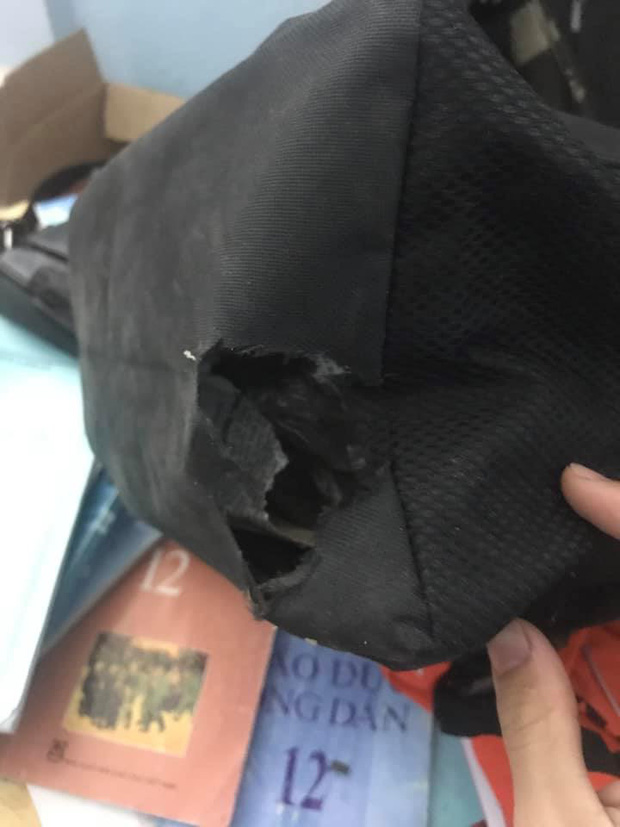 Nghỉ học lâu ngày, học sinh đua nhau khoe hình sách vở mốc meo, bị côn trùng làm tổ-5