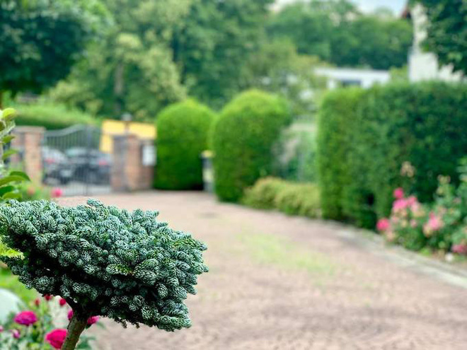 Các con của Mỹ Lệ: Học phí 1,2 tỷ đồng/năm, ở biệt thự nguy nga như cung điện nhưng từng khiến công chúng thương cảm vì 1 điều-5