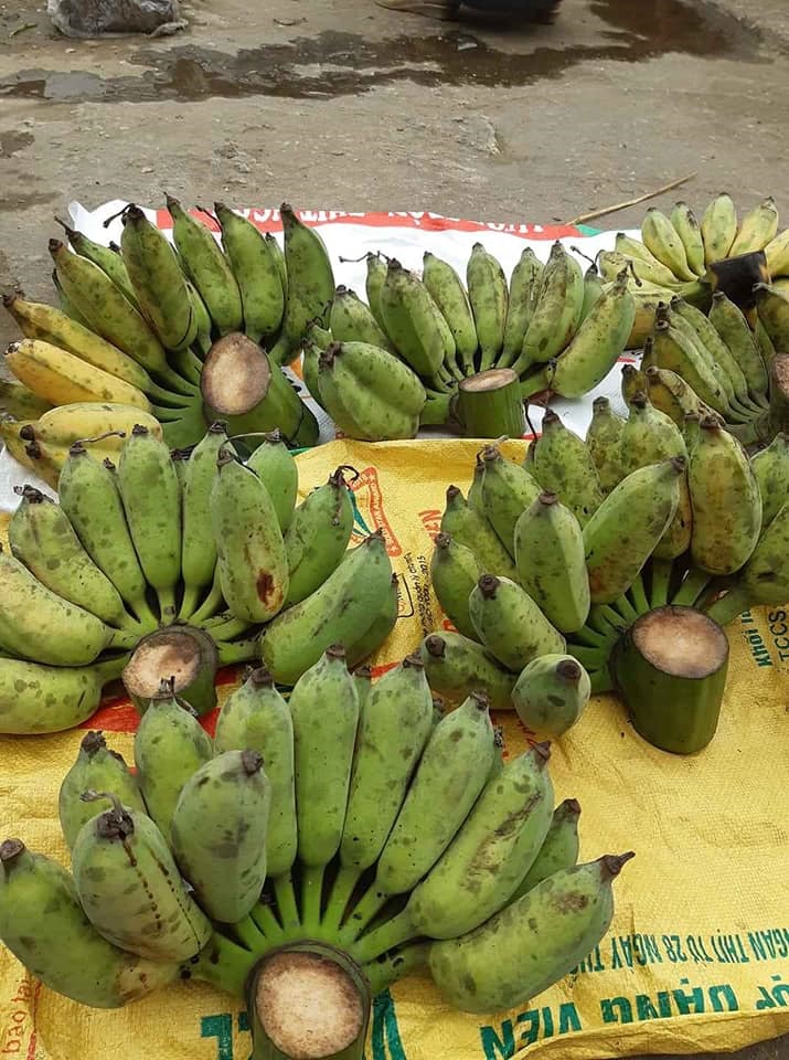 Vài nghìn đồng/kg chuối trên chợ mạng, người tiêu dùng thi nhau đặt mua số lượng lớn-2