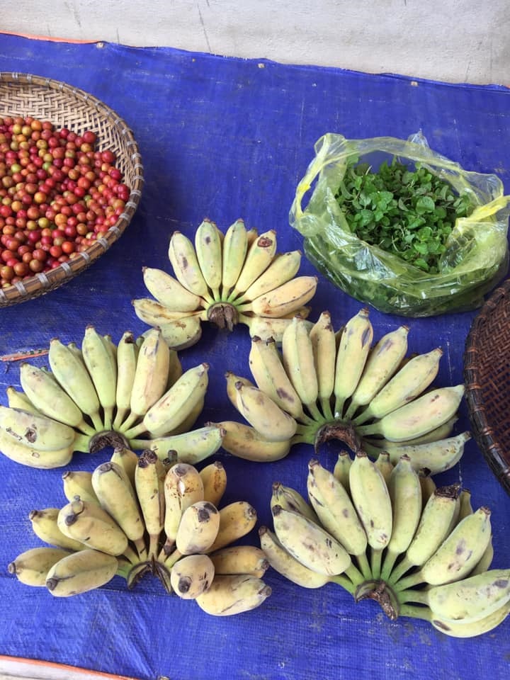 Vài nghìn đồng/kg chuối trên chợ mạng, người tiêu dùng thi nhau đặt mua số lượng lớn-3