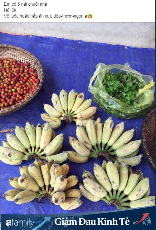 Vài nghìn đồng/kg chuối trên chợ mạng, người tiêu dùng thi nhau đặt mua số lượng lớn-4