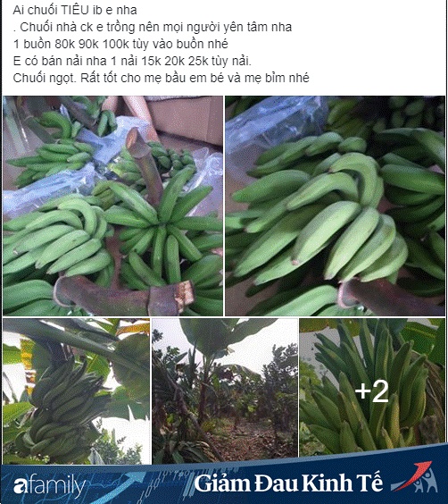 Vài nghìn đồng/kg chuối trên chợ mạng, người tiêu dùng thi nhau đặt mua số lượng lớn-5