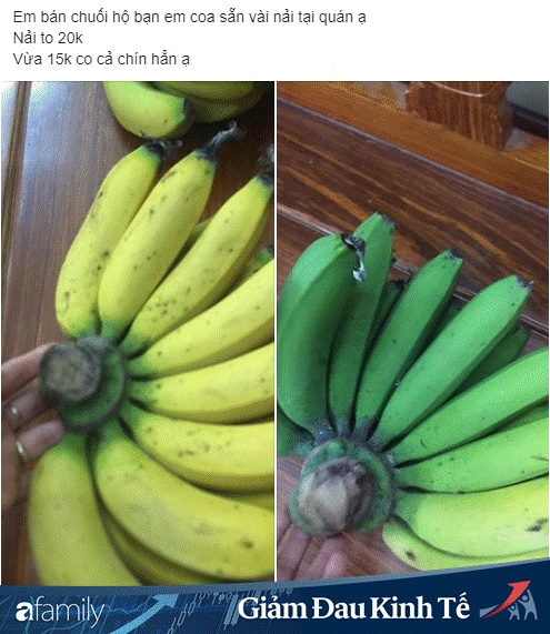 Vài nghìn đồng/kg chuối trên chợ mạng, người tiêu dùng thi nhau đặt mua số lượng lớn-6