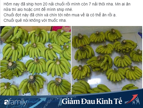 Vài nghìn đồng/kg chuối trên chợ mạng, người tiêu dùng thi nhau đặt mua số lượng lớn-7