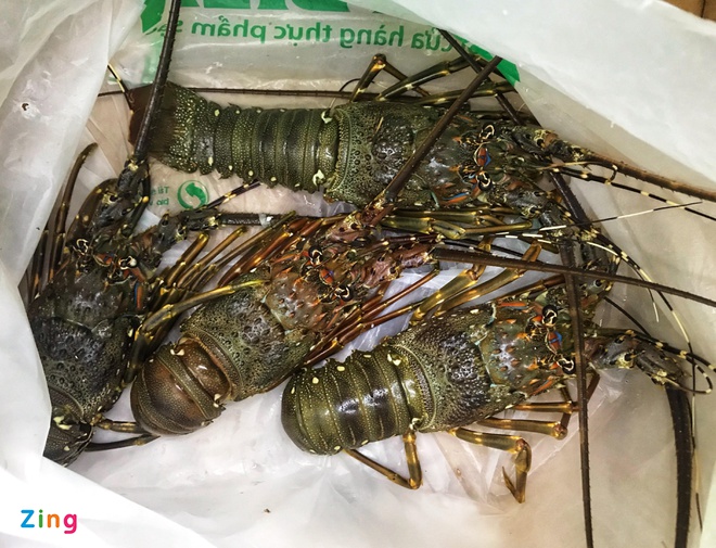 Giá tôm hùm rẻ hơn thời ‘giải cứu’-1