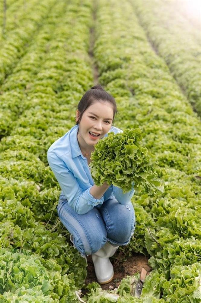 Về quê tránh dịch, Lý Nhã Kỳ đẩy xe rùa đi thu hoạch hoa quả trong nông trại 50 hecta-3