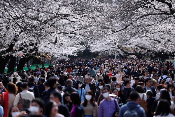 Khách nhiễm Covid-19 nhổ nước bọt vào người khác rồi gục chết ngay trên tàu ở Thái Lan-5