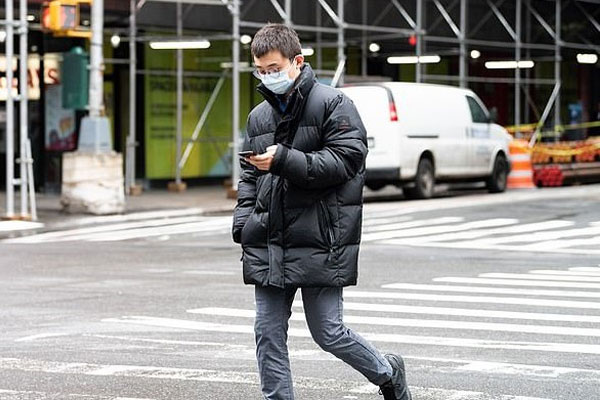 New York cấm dạy học qua Zoom-2