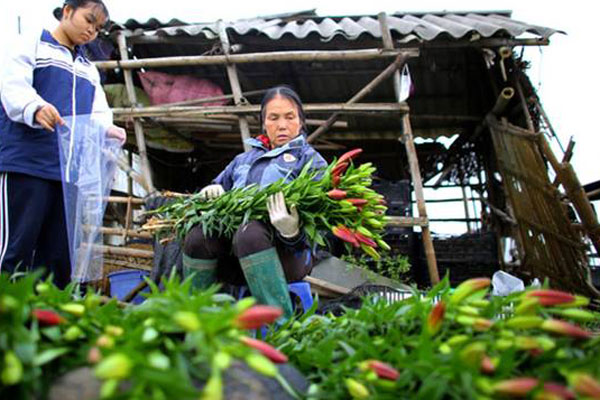 Đại gia vỡ nợ, rao bán đại hạ giá nhà trên mảnh đất vàng-2